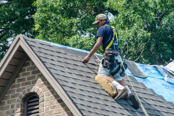 Best Shingle Roofing Installation  in Emerson, GA